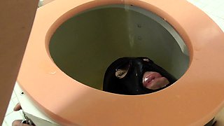toilet slave get piss in face and milking