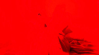 You're Destined to Lick My Soles for Hours