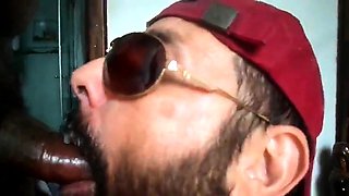 Rio de Janeiro Bull Sucking the Machos Off