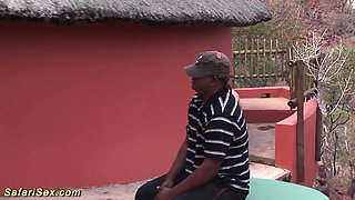 Wild African safari sex