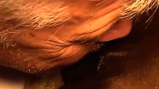 Part 2 of My Sexcation I Get My Pussy Eaten