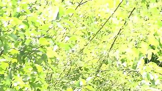 German Scout - Curvy Big Natural Bouncing Boobs Girl Anissa Jolie Talk to Beach Casting Fuck