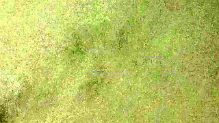 I Invite MILFs I Met at the Hotel Pool to My Room