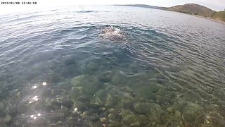 Underwater Masturbation Exhibitionist Girlfriend