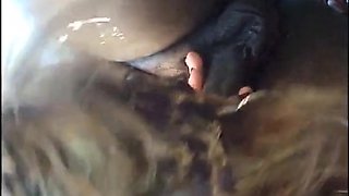 Cougar Goes Wild Outdoors