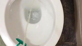 Pissing in the Toilet Compilation