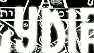 Trailer 351