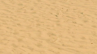 Ep5: Sex on the Beach with Nikki - Grand Tits Adventure (gameplay)