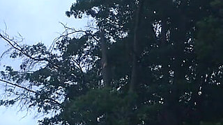 Pee Vlog 2 I Go Wherever I Want