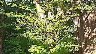 Teasing and Masturbating Out in the Woods