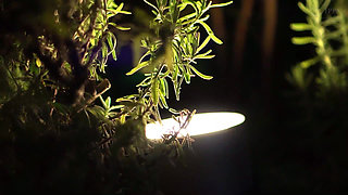 He Fucked His Ex - Nanami, While His Wife Was Away for the Last 3 Days