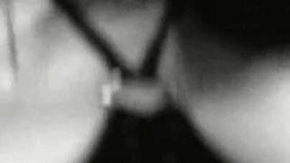 Trailer340