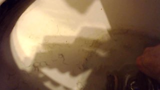 Shaving Pubes for Toilet Slave Treat