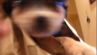 Beauty small tit amateur teen masturbating her shaved pussy