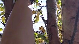 Frejas Submissive Feet aka frejassubmissivefeet OnlyFans -