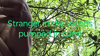 Bended This Stranger Over in the Woods Tree Covered