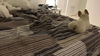 Amateur Hidden Cam with Dildo Wives