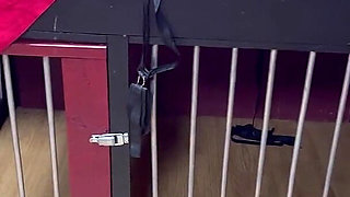 A Night Under My Orders