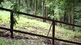 Blonde teens sharing thick cock outdoors