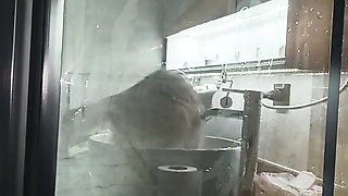 Watch Me in the Shower