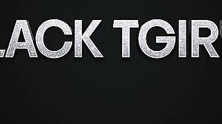 Wonderful missy's big tits trailer