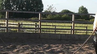 Trotting to Submission