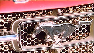 Hot Sex in Ibiza (1982)