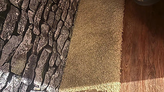 Naughty Booboo Goes in Cells