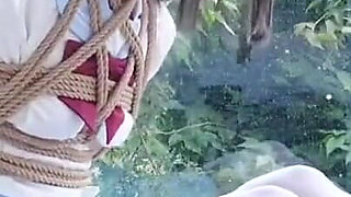 The Scenery Inside the Window Is so Wonderful