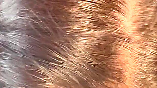 Elegant Nut Extraction