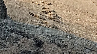 A Stranger Touched My Body on the Beach.