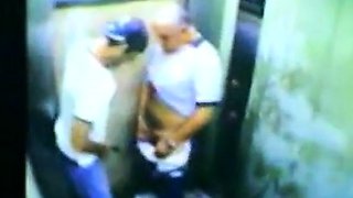 Daddy Bear and his Young Cub Caught on Camera