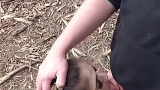 Coquette & Brad - POV Hotwife Blowjob Ends with Huge Cum Facial