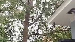 Naked Workout with Lora Cross and Ciren Verde