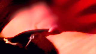 15 Minutes of Cunnilingus