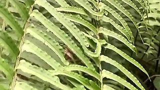 Sri Lankan Natural Girl Bathing