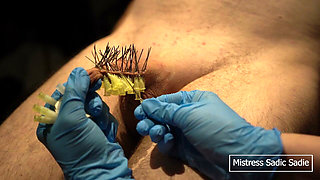 107 Needles CBT