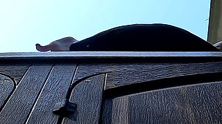 Lots of Peeing in Places