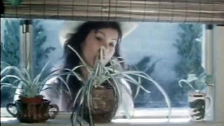 Classic Porn Dvds: Weekend Cowgirl: Part 2