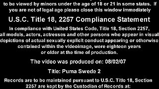 MILF Puma Swede Naughty Office Threesome Orgy - Lingerie