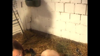 Double Penetration in the Farm with Cumshot in the Mouth for Two Horny Sluts