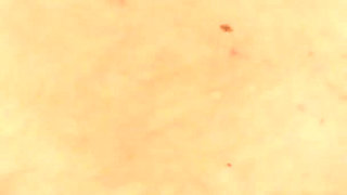 Leigh Livingston a slutty girlfriend with big perky tits and golden hair jumps on a big cock with her pussy