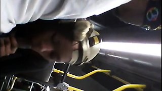 Brain's Blowjob on the Bus