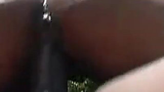 Lexinghton the Impalator!!!