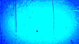 Twink is examined and bred by doctor