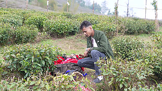 Stranger Help Tea Garden Girl.