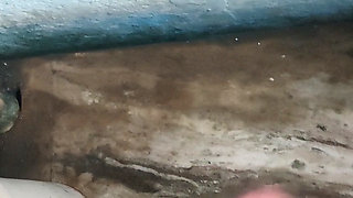 Mera Desi loda h kesa laga aapko