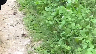 Sex in the Woods
