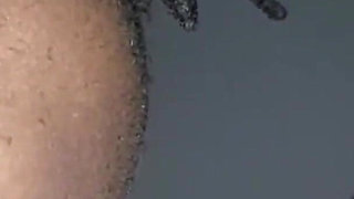 Wildenglishbbw BBC Nata4sex licking my fat pink pussy