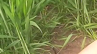 The Village's Desi Sister-in-law Is Yearning for Sex in the Outdoor Open Field.